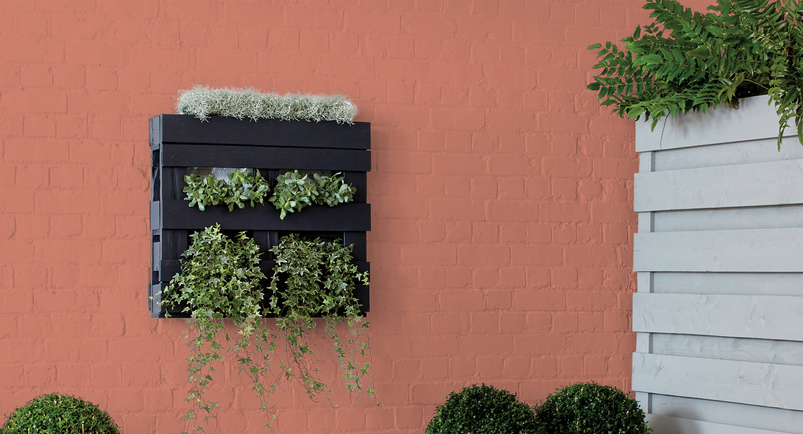 Create your perfect summer garden