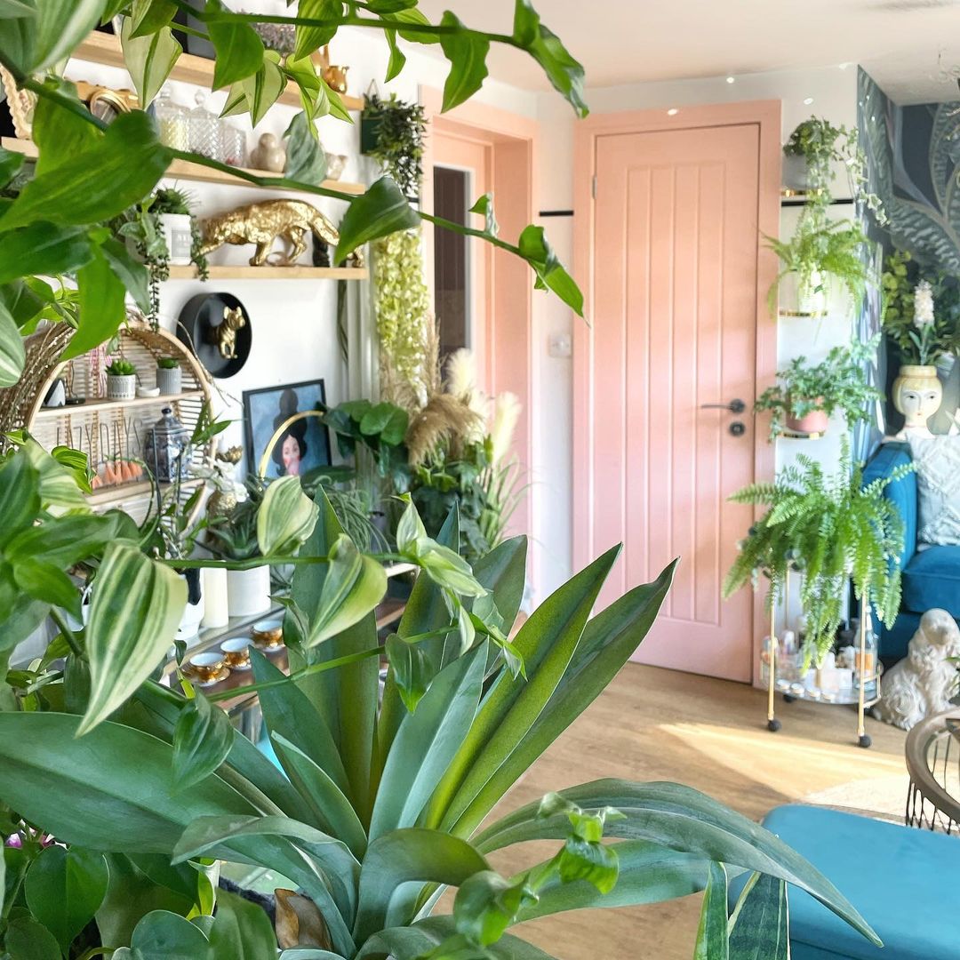 Over-the-top foliage