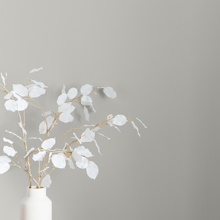 Silver Bonnet